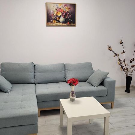 Apartament Alex, Dem Radulescu Râmnicu Vâlcea エクステリア 写真