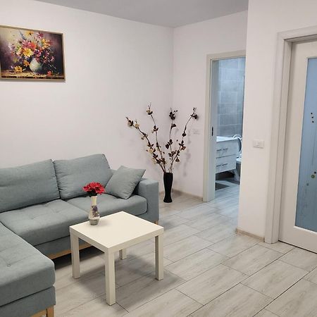 Apartament Alex, Dem Radulescu Râmnicu Vâlcea エクステリア 写真