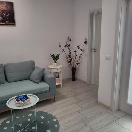 Apartament Alex, Dem Radulescu Râmnicu Vâlcea エクステリア 写真